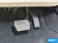 福睿斯 图片
