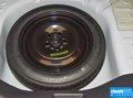 福睿斯 图片