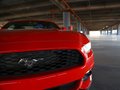 Mustang 2015款 野馬圖片