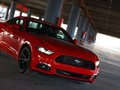 Mustang 2015款 野马图片