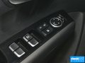 赛图斯 图片