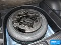 赛图斯 图片