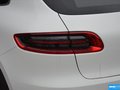 Macan 圖片