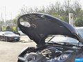 Macan 图片