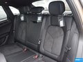 Macan 圖片