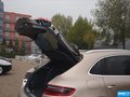 Macan 圖片