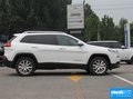 自由光(进口) 图片