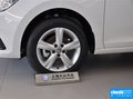 桑塔纳·浩纳 图片
