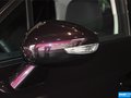DS 5LS 圖片
