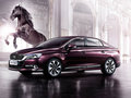 DS 5LS 图片