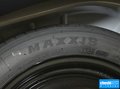 福克斯 图片