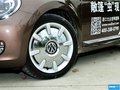 甲殼蟲 圖片