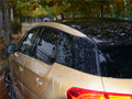 DS 5 图片