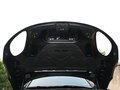Macan 图片