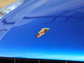 Macan 图片