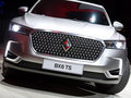 宝沃BX6 TS 图片