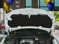 DS 4S 圖片