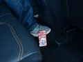 翼虎 图片