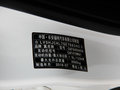 翼虎 图片