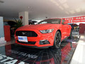 Mustang 图片