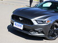 Mustang 圖片