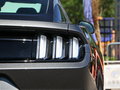 Mustang 圖片