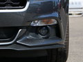 Mustang 图片