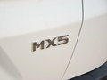 东风风度MX5 图片
