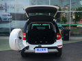 Yeti 图片