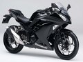 忍者Ninja 250(标准版) 图片