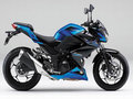 Z250(本土版) 图片