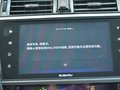 傲虎 图片
