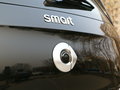 巴博斯 smart forfour 图片