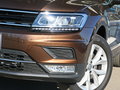 Tiguan 图片