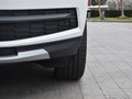 柯迪亚克 图片