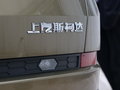 柯迪亚克 图片