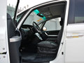 大7 MPV 图片