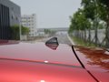 科雷嘉 图片