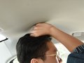 自由光 图片
