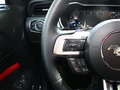 Mustang 图片