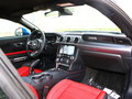 Mustang 图片