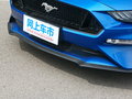 Mustang 圖片