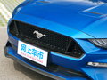 Mustang 圖片