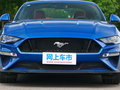 Mustang 图片