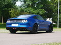 Mustang 图片