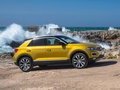 T-ROC(海外) 图片