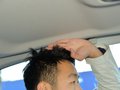 森林人 图片