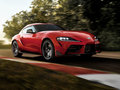 Supra 图片