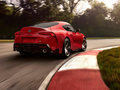 Supra 图片