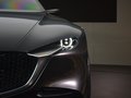 VISION COUPE 图片